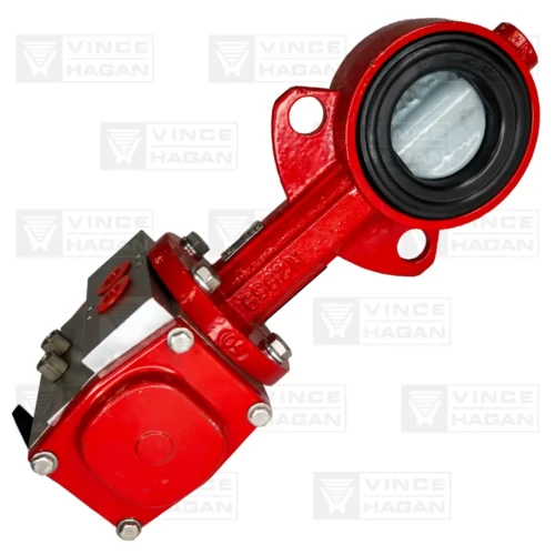2" Bray Butterfly Valve